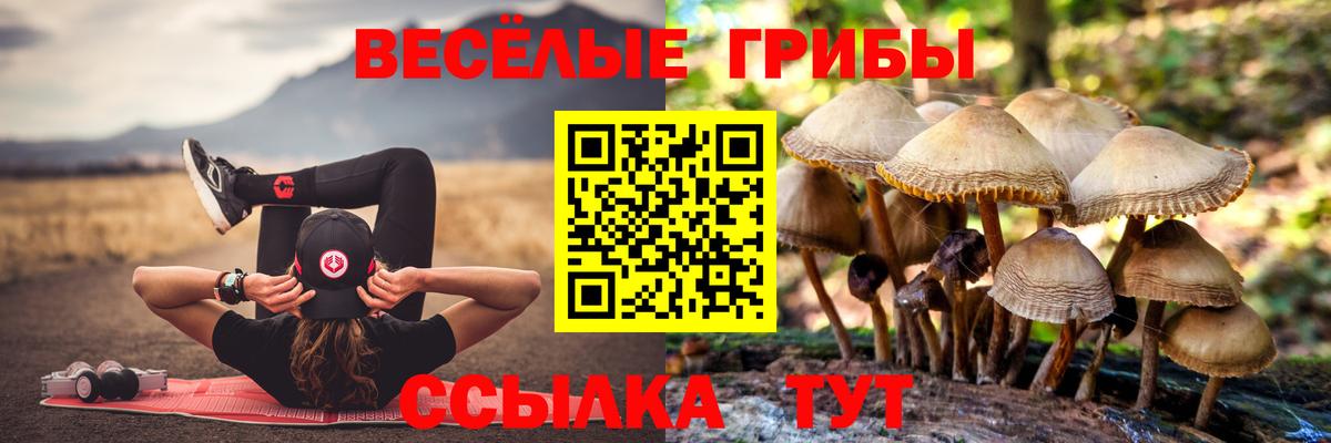 Клинцы  Псилоцибиновые грибы MAGIC MUSHROOMS  Галлюциногенные грибы мухоморы  Вход с VPN 